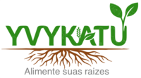 yvykatu.com.br