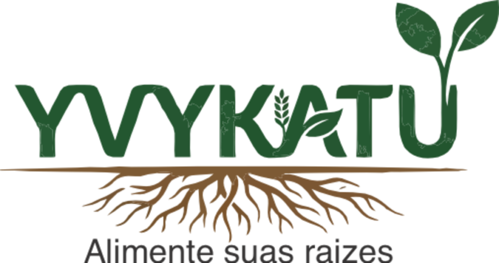 logo 1200pxyvykatu fundo transparente